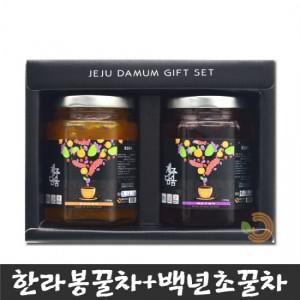 [무료배송] 제주 담움 2종세트 250g (한라봉,백년초)꿀차